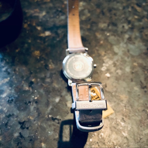 Citizen Eco-Drive Women’s Watch (23mm)